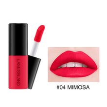 Load image into Gallery viewer, 3.5g Matte Lipstick Set 12 Colors Liquid Lipstick Lip Tint Matte Velvet 24h Long Lasting
