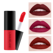 Load image into Gallery viewer, 3.5g Matte Lipstick Set 12 Colors Liquid Lipstick Lip Tint Matte Velvet 24h Long Lasting
